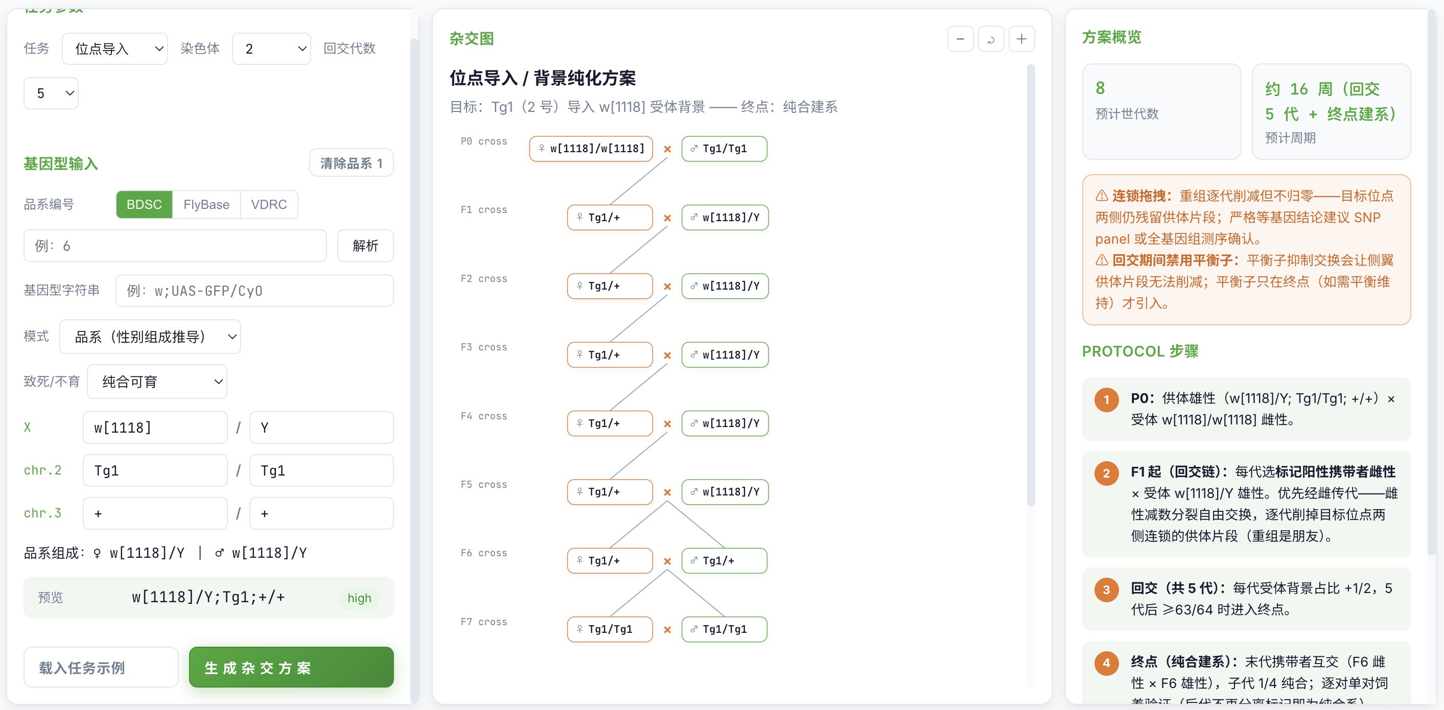 位点导入 (introgression) 任务典型杂交图示例